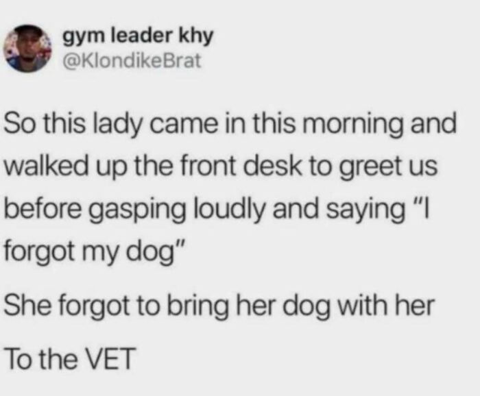 Text meme about a lady who forgot to bring her dog to the vet, highlighting funny dog memes for healing.