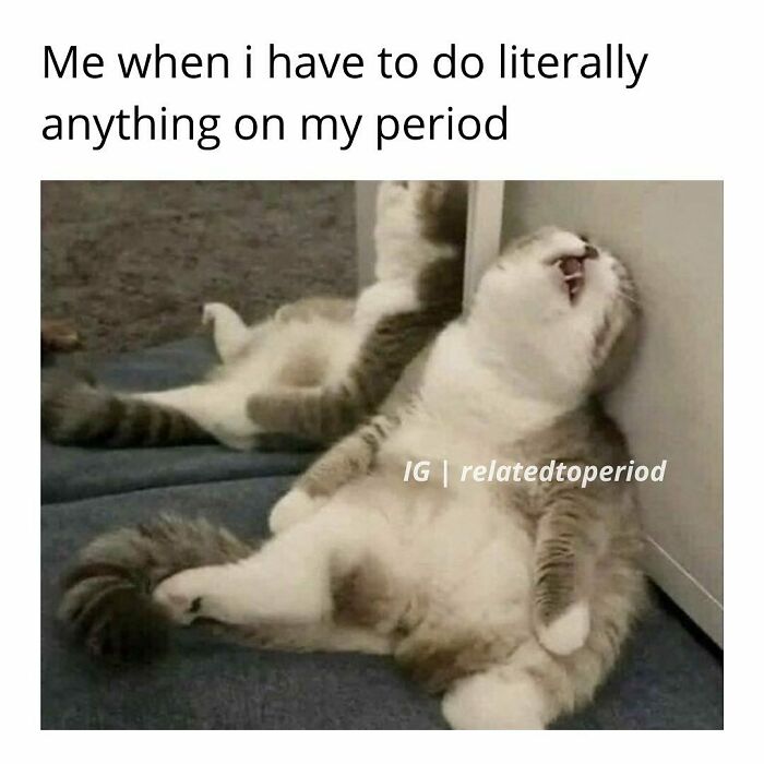 Cat lounging humorously mirrors period meme fatigue.