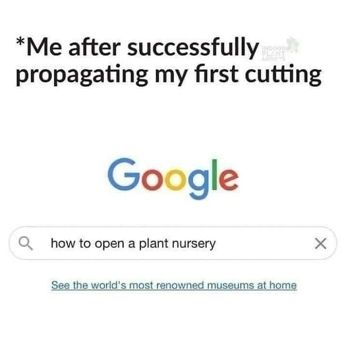 Google search meme about plant owners opening a nursery after successful propagation.