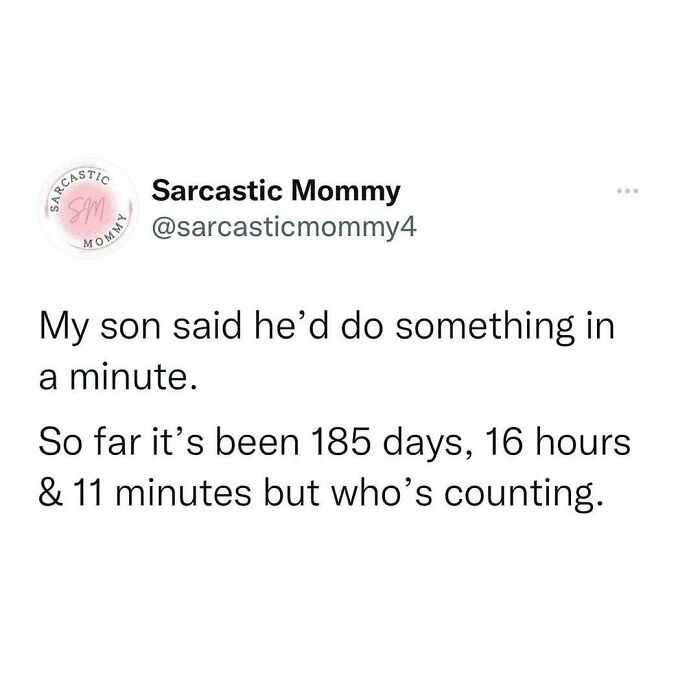 Tweet by Sarcastic Mommy humorously describes parenting: "My son said he'd do something in a minute. It's been 185 days."