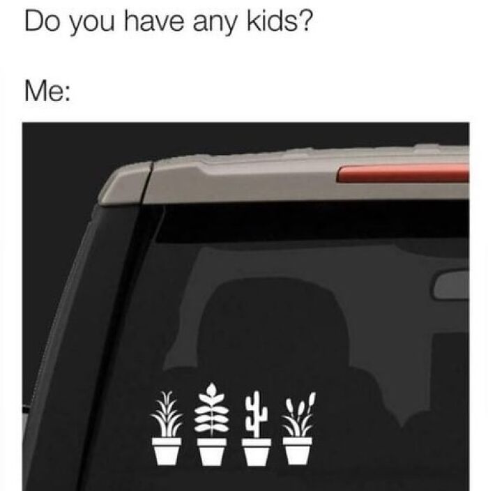 Car window sticker with four potted plant icons, humor for plant owners.