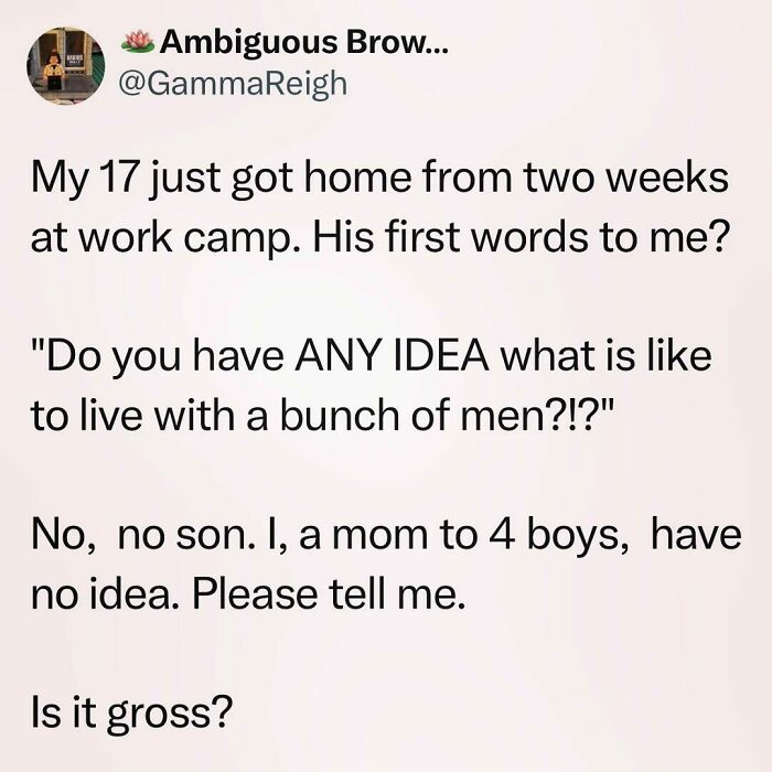 Funny tweet about a teen's experience at work camp, humorously questioning living with men, shared by a mom of four boys.