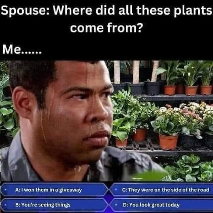 Man sweating nervously next to multiple plants with humorous text about explaining plant collection to spouse; plant owner meme.