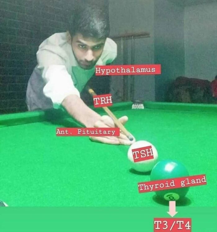 Pool player with labeled anatomical terms humorously depicts a medical school concept.