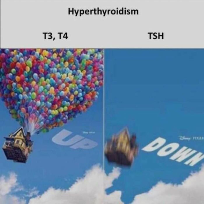 Meme about medical school: House with balloons labeled T3, T4 rising, and a falling house labeled TSH showing hyperthyroidism.
