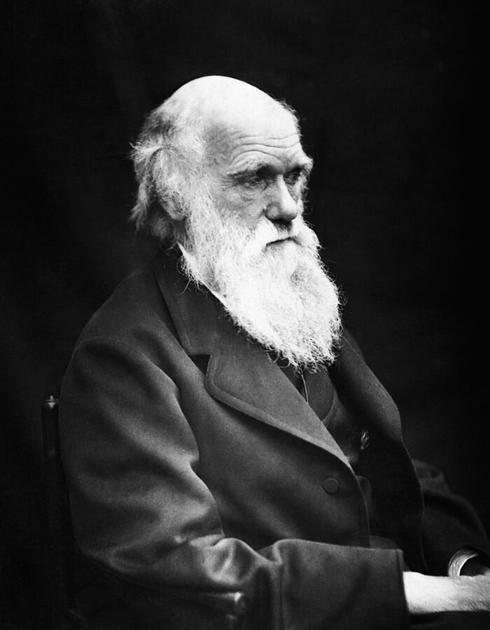 Black and white portrait of a famous historical figure with a long white beard wearing a dark coat.