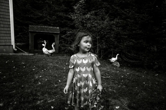 Child in patterned dress stands in a rural yard with geese nearby, showcasing intimate rural life.