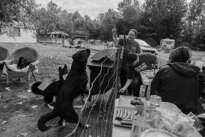 People enjoying a backyard barbecue with dogs playing by the fence, capturing rural life in Maine.