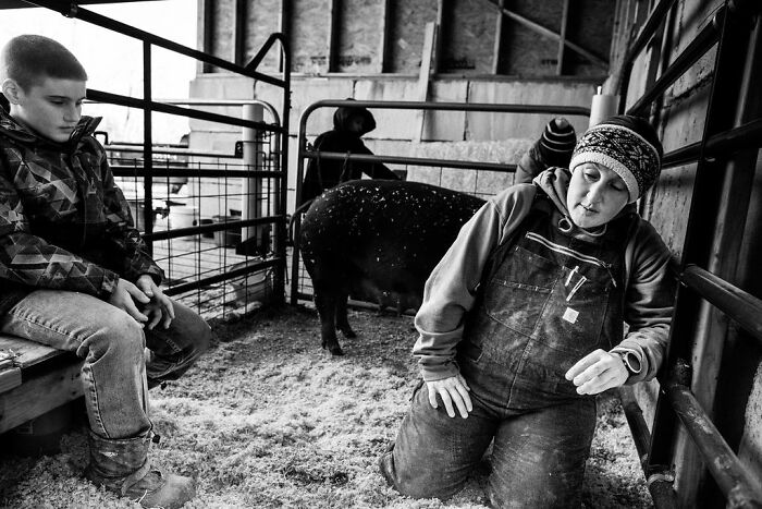 Person in overalls sitting in a rural Maine barn with livestock, capturing the essence of rural life.