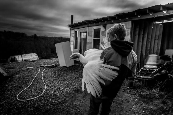 A boy holding a turkey outside a rustic cabin, showcasing rural life in Maine.