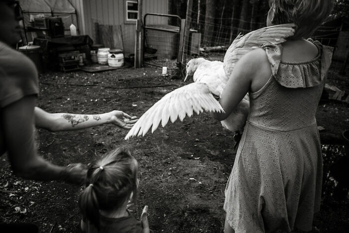 Rural life in Maine: woman holding a duck in a backyard, with a child and another person nearby, amidst farm equipment.