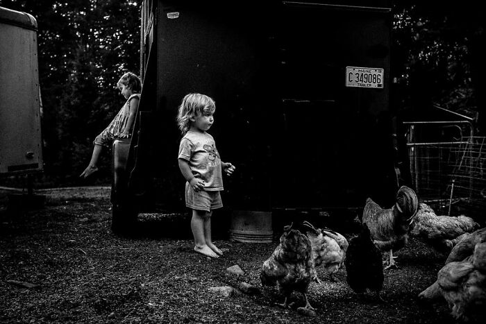 Children observing chickens in rural Maine, capturing an intimate moment of rural life by Barbara Peacock.