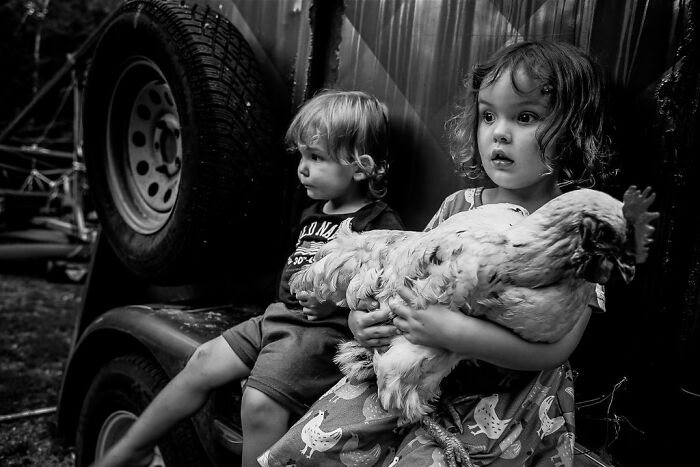 Children embracing rural life in Maine, sitting by a trailer with a chicken.