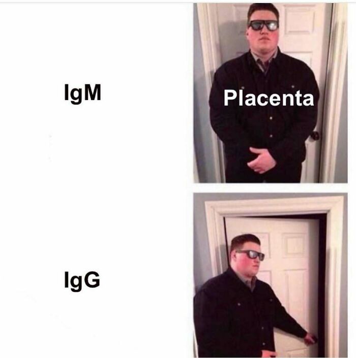 Man in sunglasses labeled 'Placenta' guarding door with IgM and IgG text, humorously depicting medical school concepts.