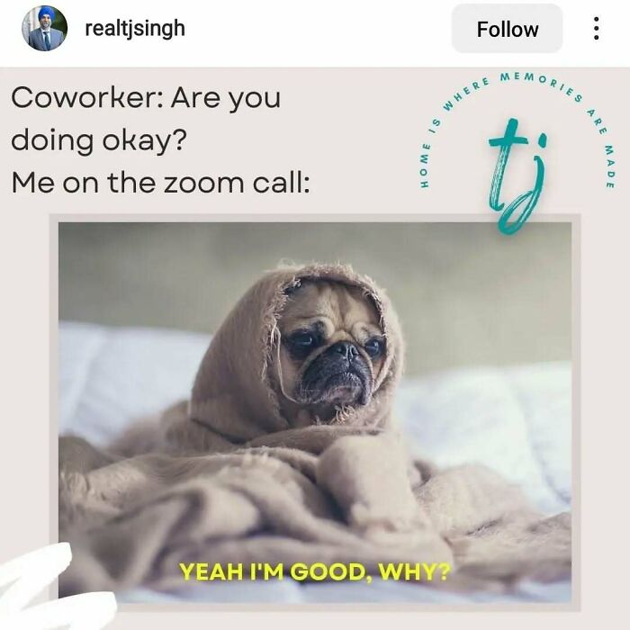 Pug wrapped in a blanket looking tired, captioned with a funny relatable work meme about Zoom calls.