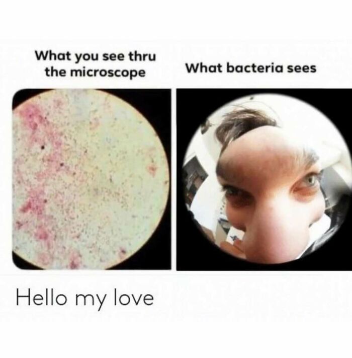 Microscope view humor in a medical school meme with a comical bacteria perspective.
