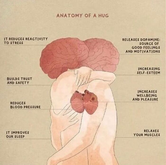 Illustration of two people hugging, with text explaining benefits like stress reduction, highlighting medical school humor.