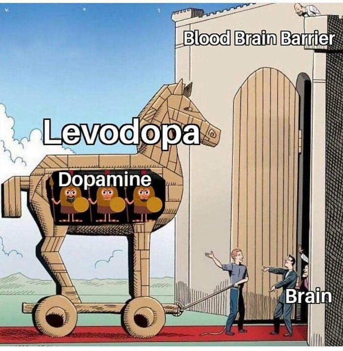 Trojan horse labeled "Levodopa" with "Dopamine" inside, bypassing "Blood Brain Barrier" to enter "Brain" in a medical school meme.