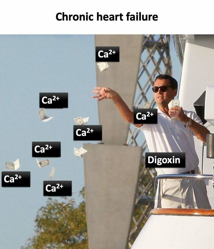 Man tossing money labeled as Ca2+ and Digoxin, humorously representing medical school experiences.