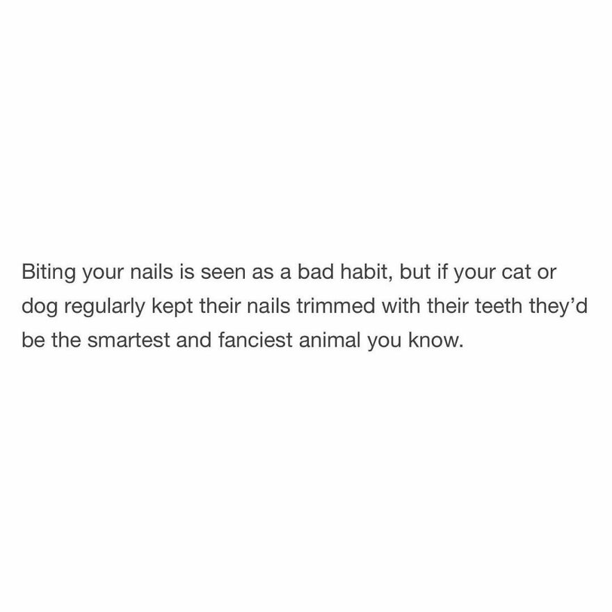 What&rsquo;s your dog&rsquo;s name?