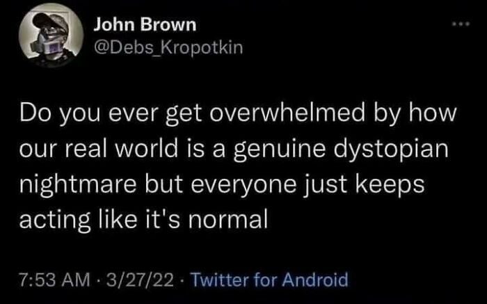 Twitter post expressing anti-work sentiments about living in capitalism, questioning societal norms.