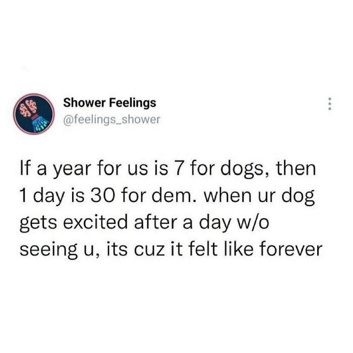 Twitter post about dogs and time perception, a thought to occupy your brain while showering and reflecting on pets.
