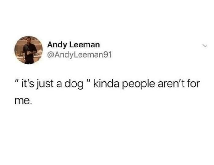 Tweet by Andy Leeman expressing that "it's just a dog" type of people aren't relatable, highlighting dog memes healing power.