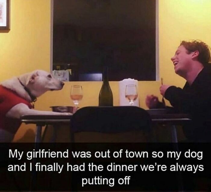Man and dog having a cozy dinner together, capturing a heartwarming moment from popular dog memes to help heal and cheer up.