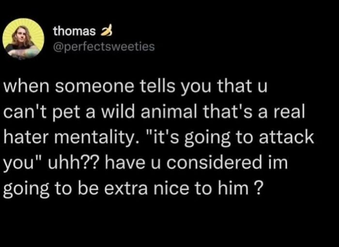 Funny meme about petting a wild animal despite warnings, captioned by Thomas.