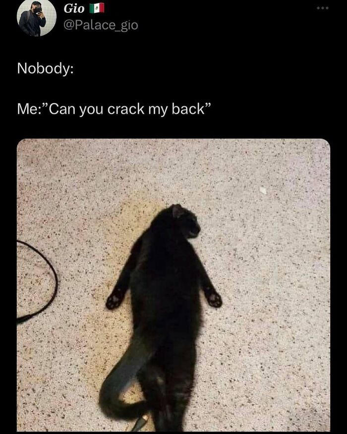 A black cat lying on its back humorously mimicking a person asking to crack their back, tied to memes about men.