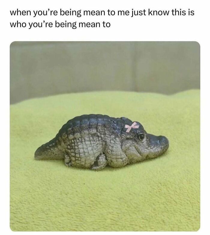 Cute baby crocodile with a pink bow, lying on a yellow blanket; a painfully relatable meme.