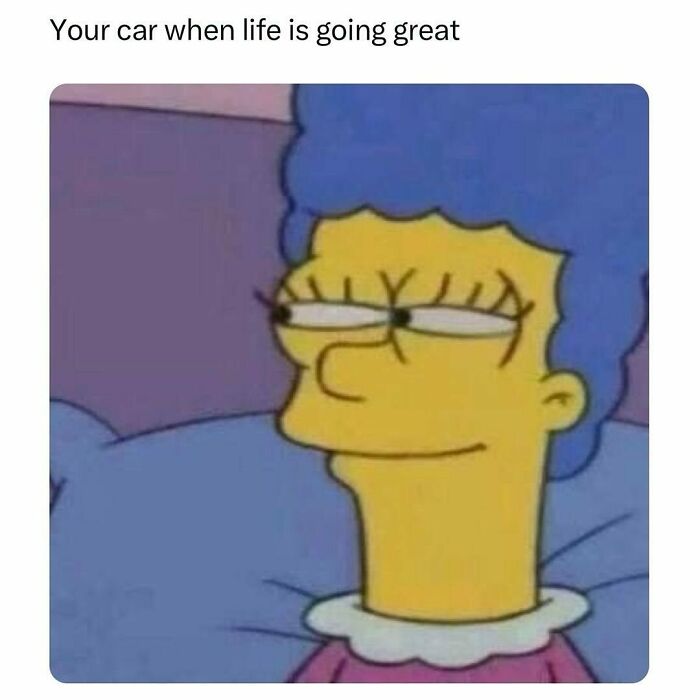 Meme of cartoon character with a sly smile, captioned "Your car when life is going great," illustrating relatable humor.