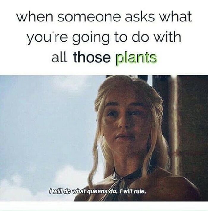 Woman confidently declaring plans to rule over her plants, capturing a humorous moment for plant owners.