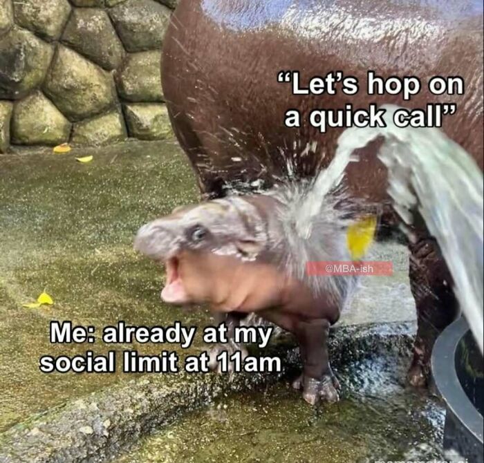 Baby hippo meme capturing relatable work humor. Text: "Let's hop on a quick call" and "Me: already at my social limit at 11am."