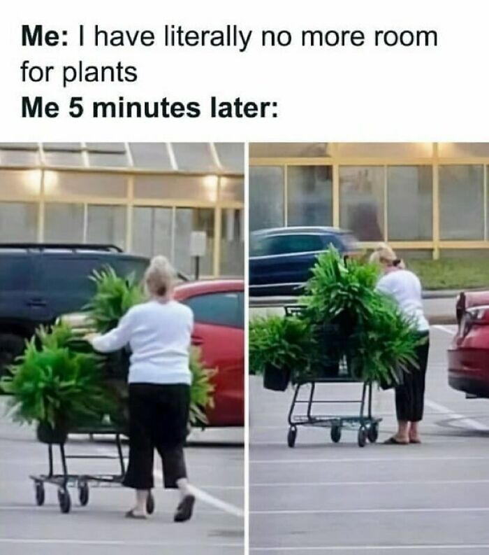 Person with a cart full of plants, humorously illustrating the dilemma faced by plant owners.