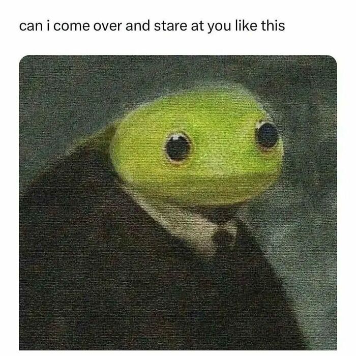 A green frog with large eyes, embodying a relatable meme moment.