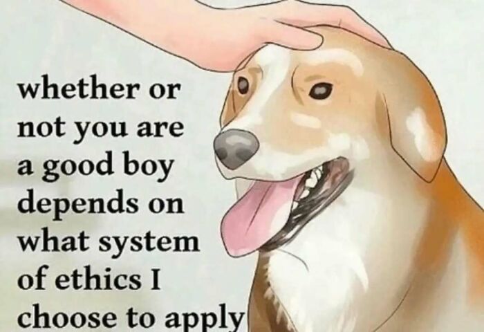A dog being petted with text about ethics, illustrating a humorous philosophy meme.
