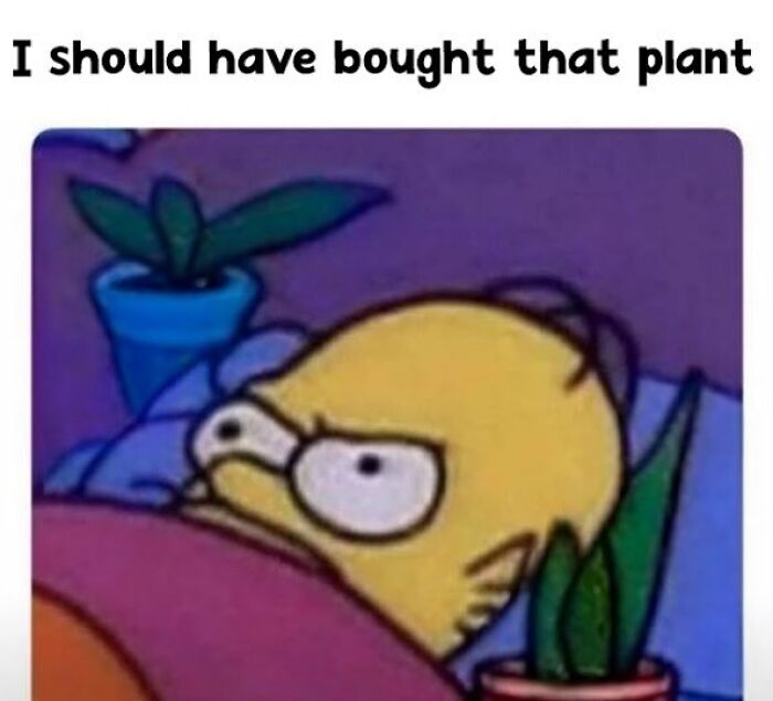 Cartoon character in bed looking worried, with plants nearby, expressing a typical plant owner's regret.