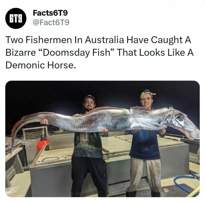 Two fishermen in Australia holding a long, bizarre fish that resembles a "demonic horse" on a boat at night.