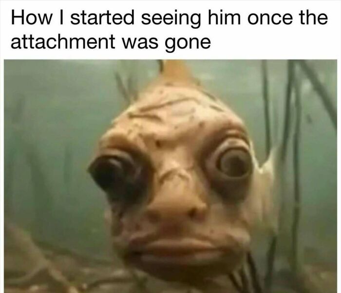 Fish with wide eyes underwater, relatable meme text above about changed perception.