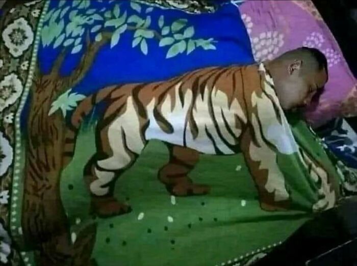 Man sleeping under a blanket with a tiger design, creating a humorous illusion of a tiger-headed man.