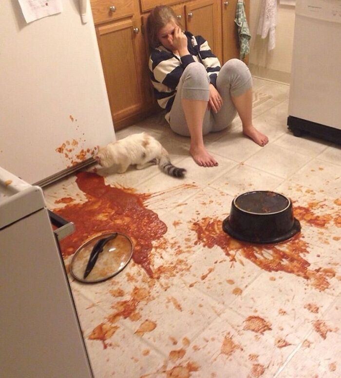Woman sitting distressed in kitchen with spaghetti sauce spill, cat exploring the mess; a truly cursed image.