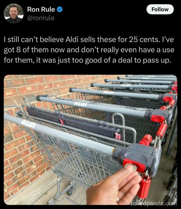 Hand inserting a quarter into Aldi shopping cart, showcasing a relatable meme about unexpected deals.