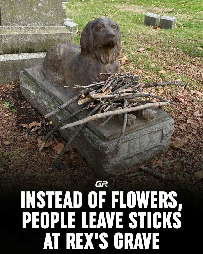 Dog statue on a grave with sticks instead of flowers, showcasing interesting burial traditions.