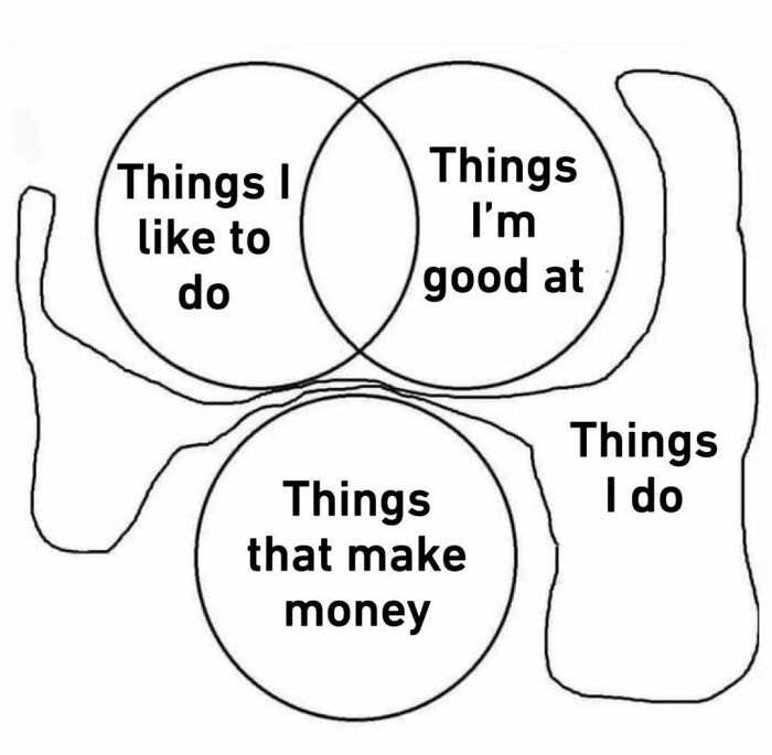 Venn diagram meme about finding purpose in life; circles labeled with activities, skills, and income.
