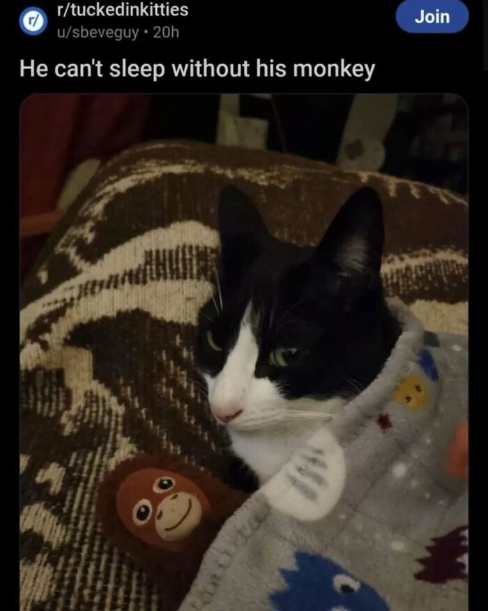 Cat snuggled under a blanket with a toy monkey, embodying the essence of joy and comfort.