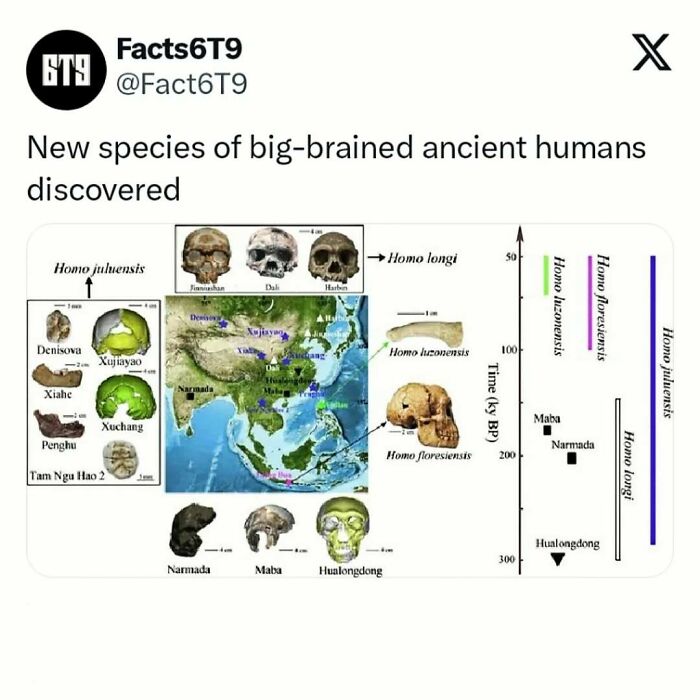 Map showing ancient human skulls and locations, highlighting discovery of big-brained species' evolution.