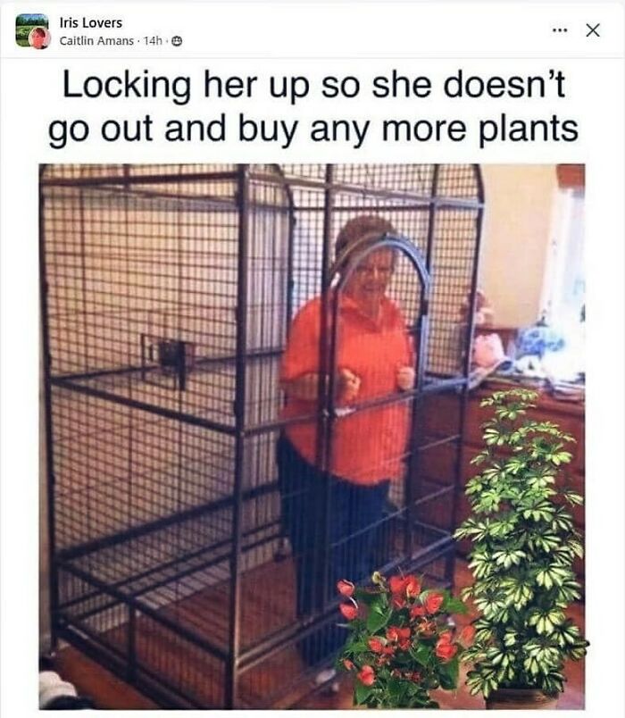 Woman humorously locked in large cage to stop buying plants; surrounded by houseplants, reflecting plant owner struggles.