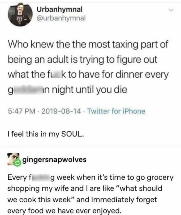 Funny meme about the struggle of deciding dinner as an adult, highlighting the humor in daily routine challenges.