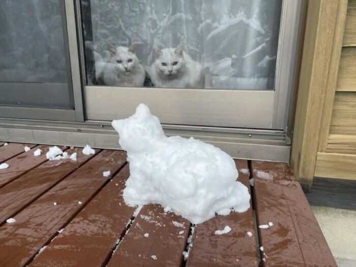Snow cat sculpture on deck as two real cats watch from behind a glass door, lifting spirits with feline charm.